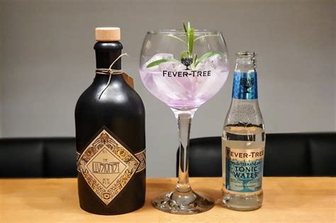 Gin Og Tonic Med Illusionist Dry Gin Alt Om Gin