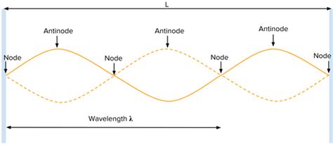 Unit 8 Waves Ap Physics I Lab Portfolio