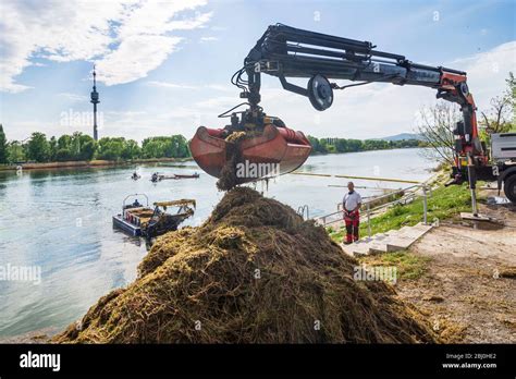 Wien Vienna Water Plants Boat Mower Of Wiener Gew Sser Vienna Waters