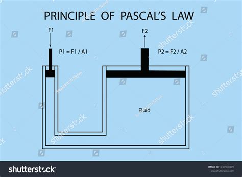 Vector Diagram Show Pascals Law Principle เวกเตอร์สต็อก ปลอดค่า