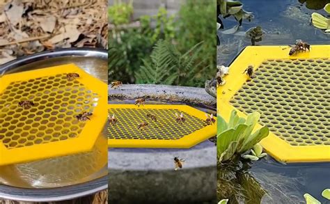 2 Pack Floating Bee Island Colorful Bee Insect Waterer