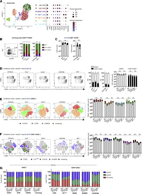 Lymphatic Migration Of Unconventional T Cells Promotes Site Specific