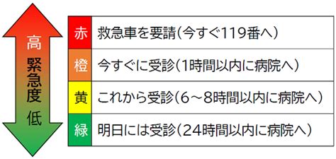 東京消防庁＜広報テーマ（2022年8月号）＞