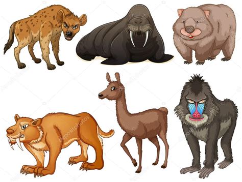 Rare animals — Stock Vector © interactimages #69464069