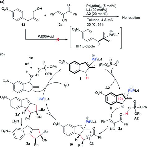 Mechanistic Proposal A Control Experiment B Proposed Catalytic