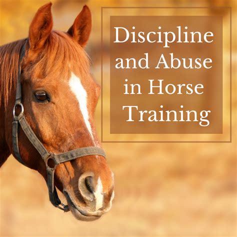 Horse Training: When Is Discipline Abuse? - PetHelpful