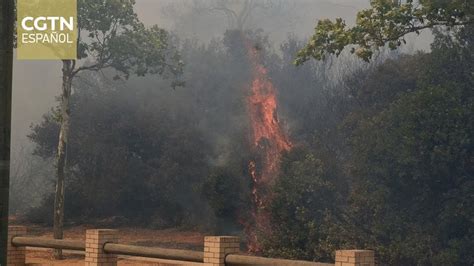 Incendios forestales azotan España mientras el país se prepara para la