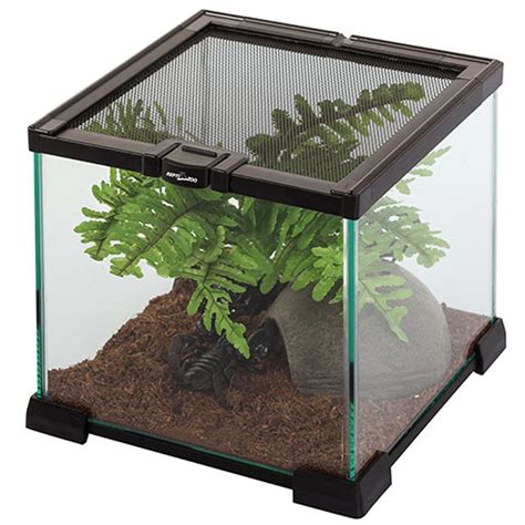 Terrarium Z Akwarium Jak Zrobi Gdzie Kupi Sklep