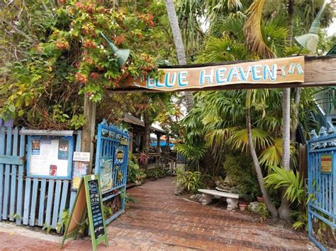 Blue Heaven Key West Menu Prices And Restaurant Reviews Tripadvisor