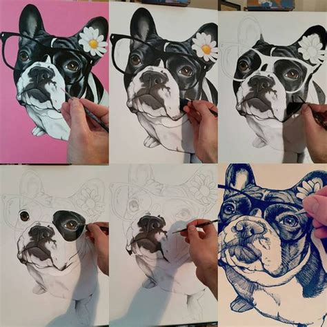 French Bulldog Frenchie Jeroen Teunen Teunen Dog Portrait