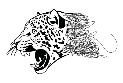 Jaguar drawing and sketch 2121366 Vector Art at Vecteezy