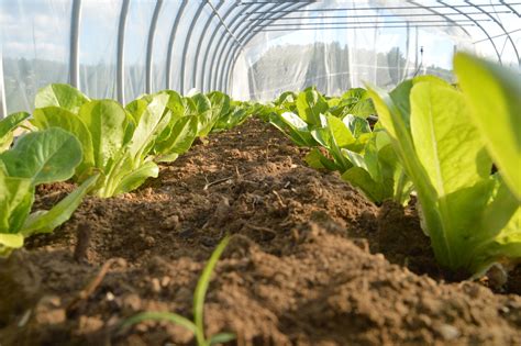 Les jardins de l écoumène inc Régénération Canada