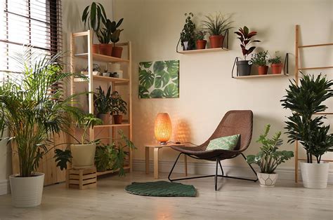 Therapeutic Gardens and The Case For Indoor Plants - GreenSeasons