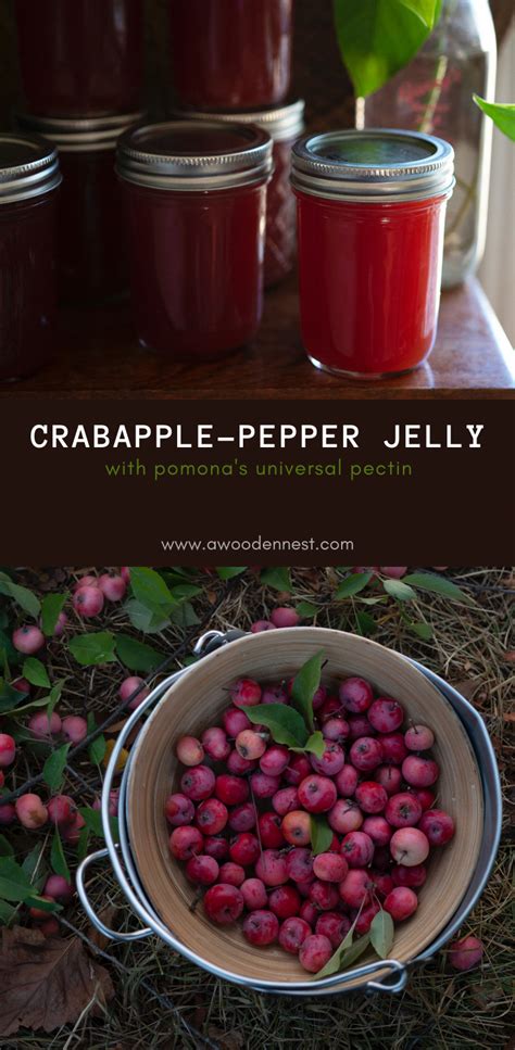 Crabapple Pepper Jelly — A Wooden Nest Recipe In 2022 Stuffed Peppers Pepper Jelly Crab Apple