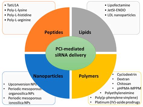 Cancers Free Full Text Photochemical Internalization Of SiRNA For