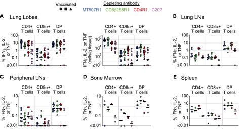 Frontiers Antibody Mediated Depletion Of Select Leukocyte Subsets In