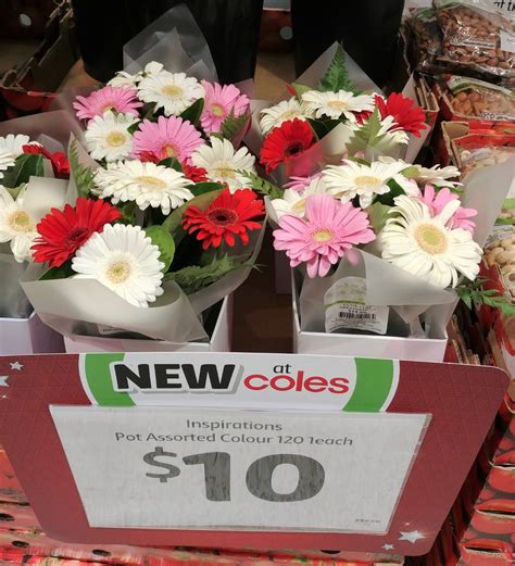 New on the shelf at Coles – 15th December 2018 | New Products Australia