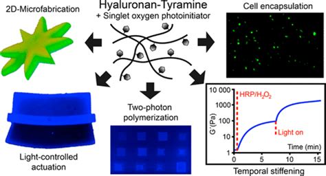 Microfabrication Of Photo Cross Linked Hyaluronan Hydrogels By Single