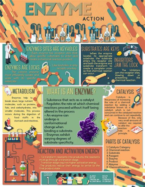 Enzyme Action Infographics | Research poster, Scientific poster design ...