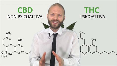 Cbd Di Cosa Stiamo Parlando Youtube