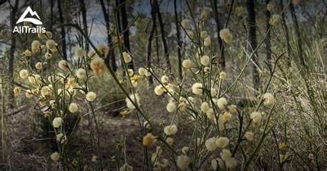 Best Hikes And Trails In Myrtle Benn Flora And Fauna Sanctuary Alltrails