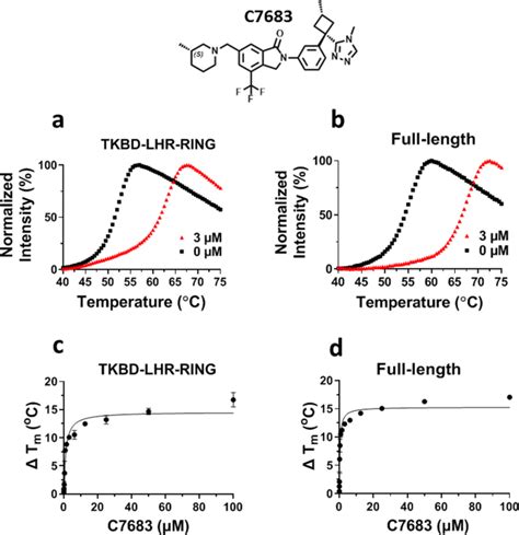 The Co Crystal Structure Of Cbl B And A Small Molecule Inhibitor