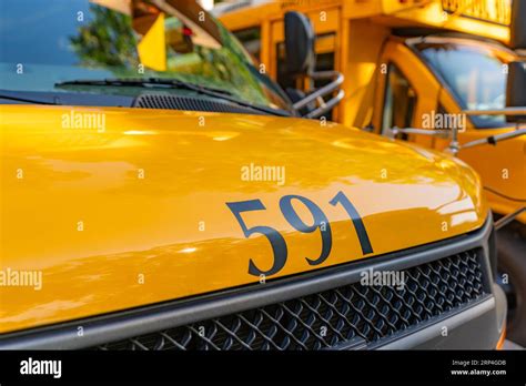 Front of a parked yellow school bus number 591 Stock Photo - Alamy