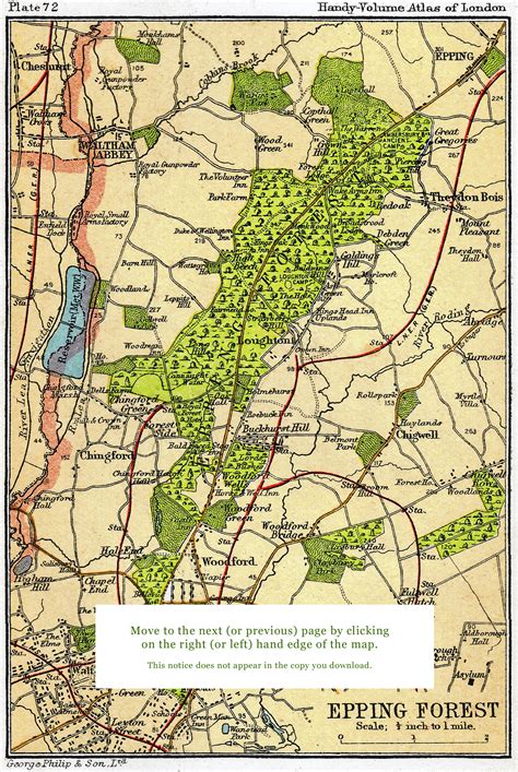 Epping Forest Shopping Park shops offer incredible deals this weekend 21