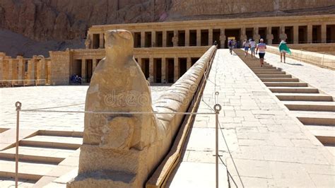 Ancient Statue Of Horus Guarding The Mortuary Temple Of Hatshepsut In