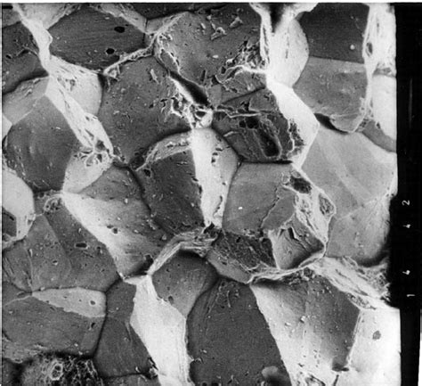 SEM Image Of Intergranular Fracture Of Fe0 35C1 5Mn0 1P Steel After