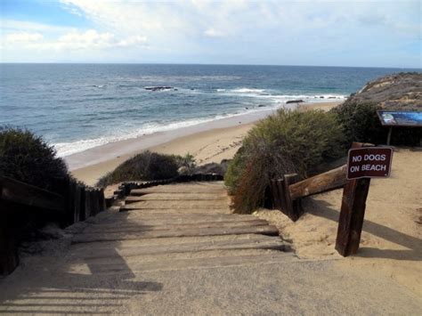 Reef Point Beach At Crystal Cove State Park In Laguna Beach Ca