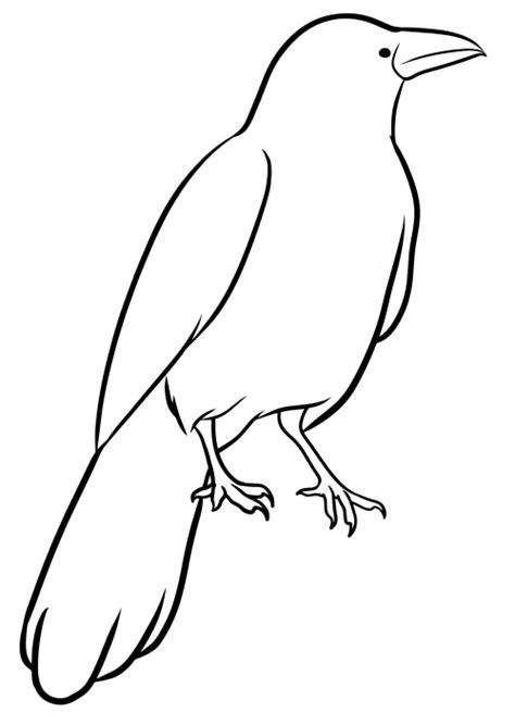 Realistic Crow Coloring Page Free And Printable