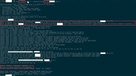 Mystery Scan - Leveraging Nmap flags to find the box that wasn't listening