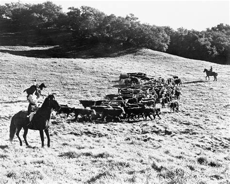 Vacation Tradition For Generations - History | Alisal Guest Ranch & Resort