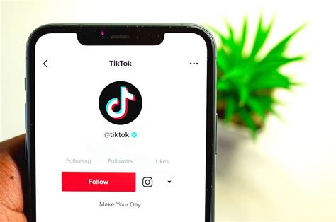 How To Get Verified On TikTok