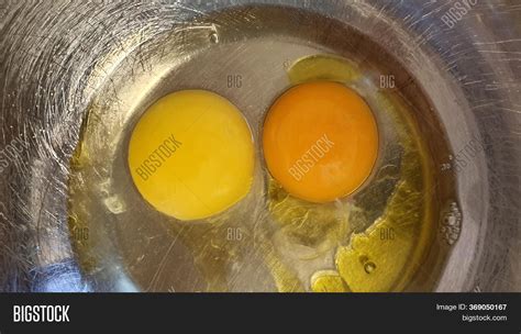 Egg Yolk. Some Kinds Image & Photo (Free Trial) | Bigstock