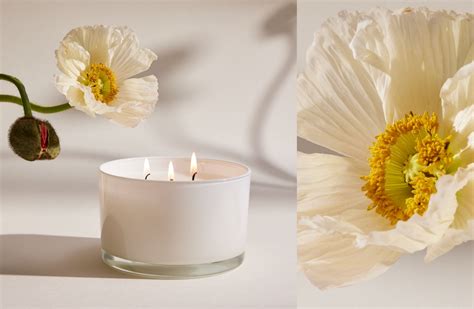 Room fragrances | Scent families | H&M HOME