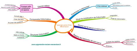 Comment réviser efficacement 7 principes pour bien réviser