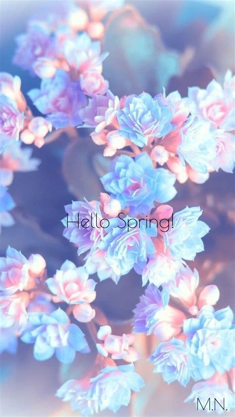 Pastel Aesthetic Flowers - 640x1137 Wallpaper - teahub.io