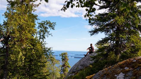 Koli National Park Koli - Discovering Finland