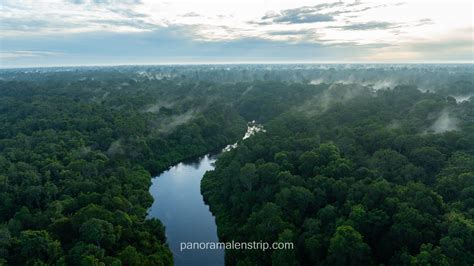 tanjung puting national park  complete river guide