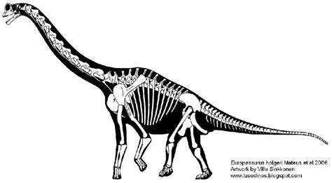 Europasaurus Pictures & Facts - The Dinosaur Database