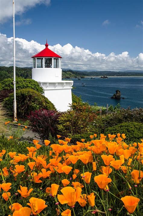 Trinidad Memorial Lighthouse In Spring By Greg Nyquist Lighthouse