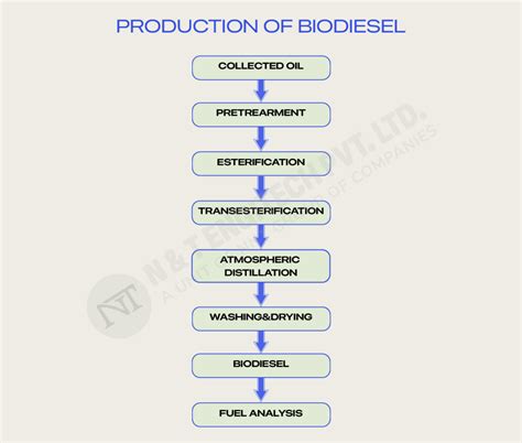 A comprehensive guide to efficient biodiesel production process