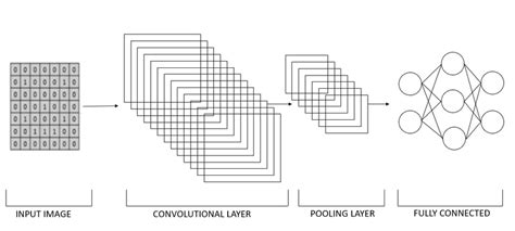 figure shows  typical architecture   convolutional neural