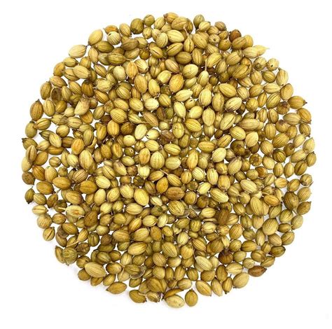 Dried Brown Organic Coriander Seed For Use As A Spices At Rs 220 Kg In