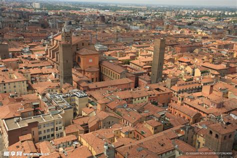 Bologna Nipic