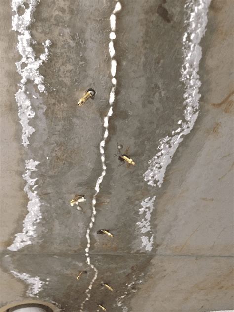 Concrete Crack Injection Structural Dynamic Repairs