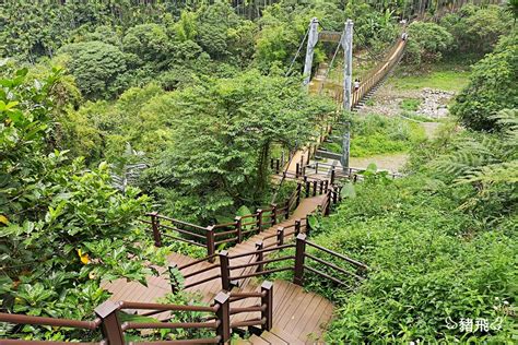 【雲林古坑】華山園區小天梯＆情人橋～超好拍照的打卡秘境！綠意環繞俯瞰溪谷美景，還有森林裡的刺激鋼索吊橋 豬飛小姐的彩色生活