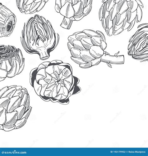 Artichoke Sketch Seamless Pattern Hand Drawn Artichokes Isolated On White Background Black